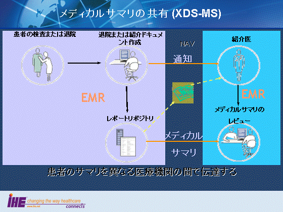 fBJT}̋L(XDS-MS)