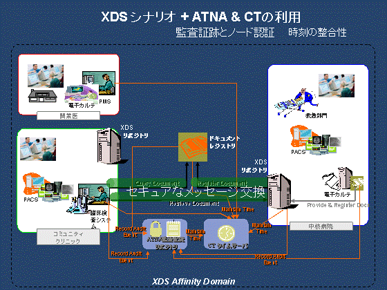 XDS ViI+ ATNA & CT̗p