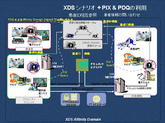 XDS ViI+ PIX & PDQ̗p